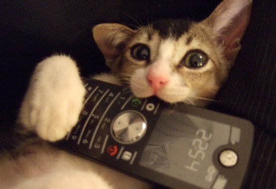 He knows what phones are for.