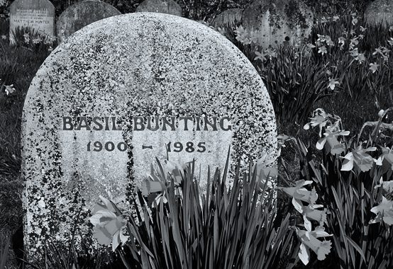 Christ Beckett / Flickr