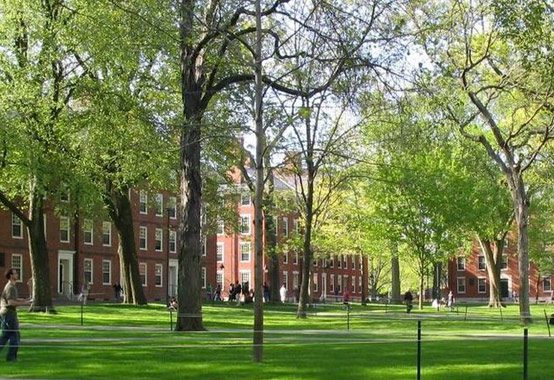 Harvard Yard