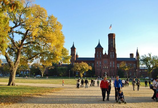 Families in the park