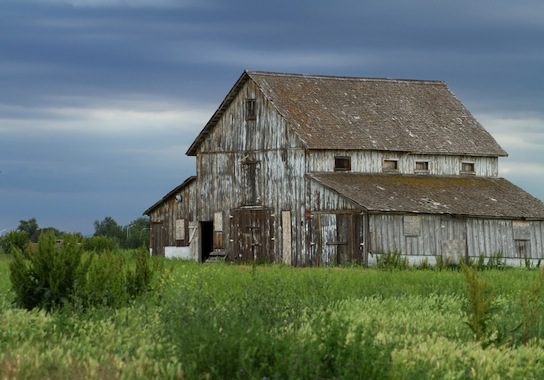 shutterstock_124717096