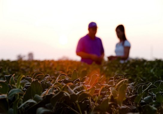 Plowing It Alone: The Difficulties of Farming in the Modern Age