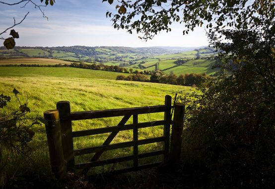 farm gate rolling hills