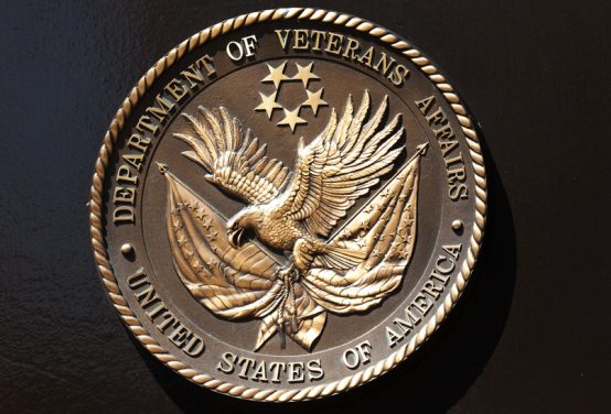 Veterans Affairs and the Crisis of Democratic Governance