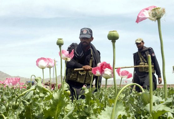 Legalize Opium, Not Heroin