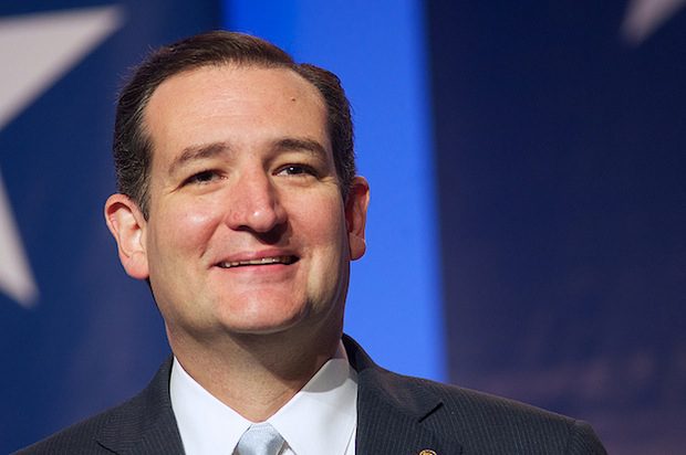 Ted Cruz smiles