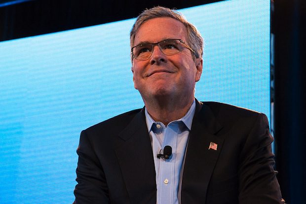 jeb bush blue background