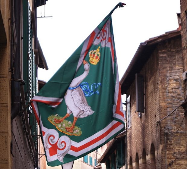 shutterstock_206495098