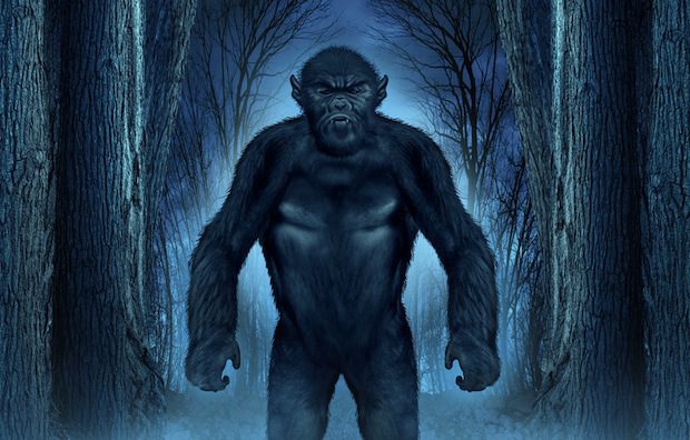 shutterstock_146443064