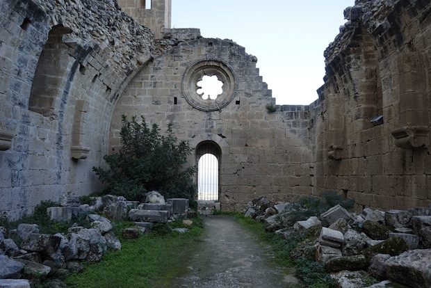 shutterstock_245921293