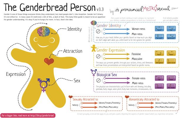 Genderbread-Person-3.3