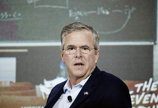 jeb bush