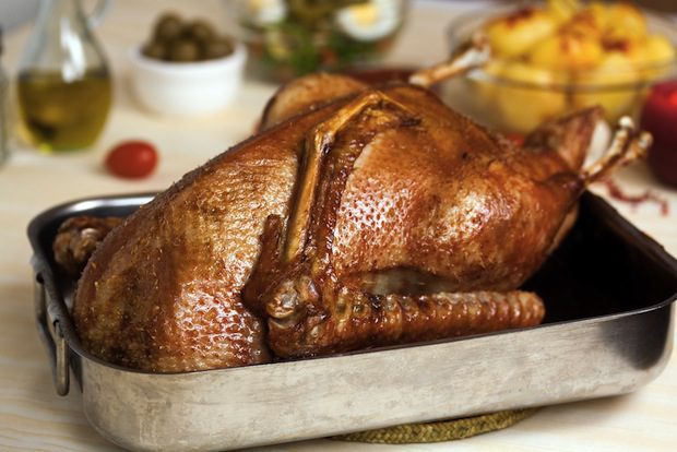 shutterstock_44009041