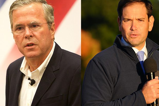 Bush-v-Rubio