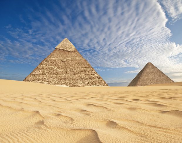 Actually, they were built to hold Little Debbie Swiss Creme Rolls (Waj/Shutterstock