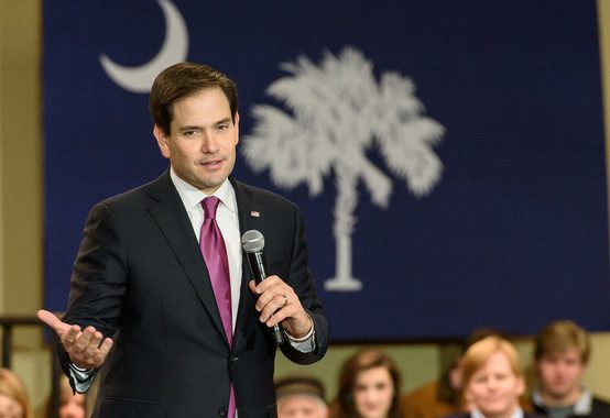 Rubio palmetto