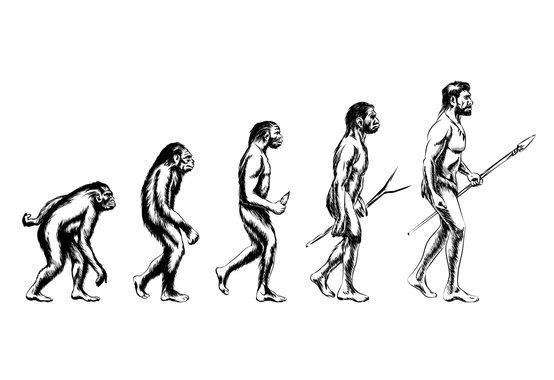evolution