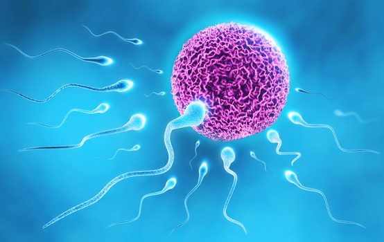 Sperm Killers and Rising Male Infertility