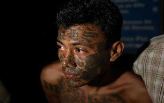 Trump Kicking Out Salvadorans Could Be a Boon for MS-13