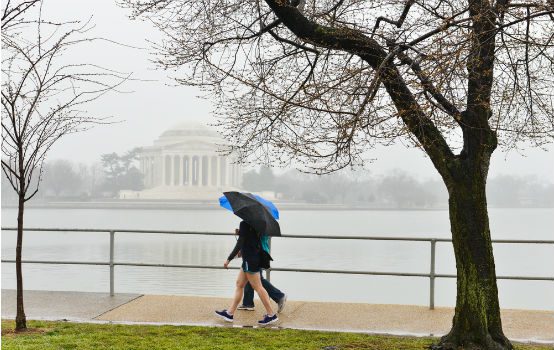 Washington rainy