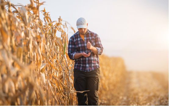 Farmer