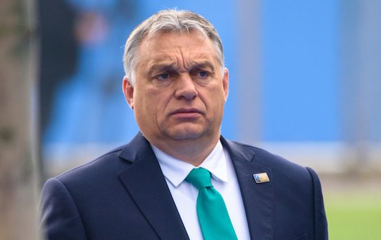 Hungary Shows the West the Path to Survival