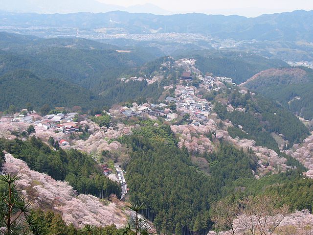 640px-Cherry_blossoms_at_Yoshinoyama_02