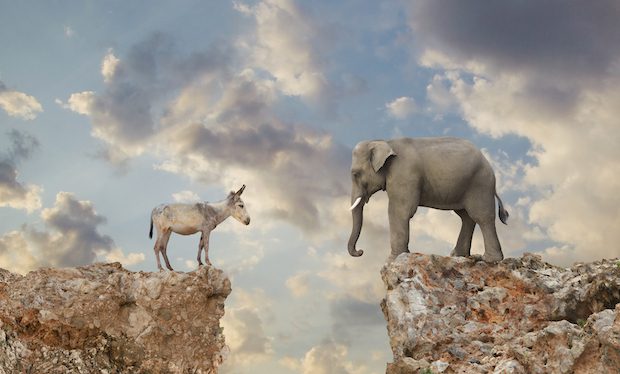Donkey and elephant separated by gap in cliff