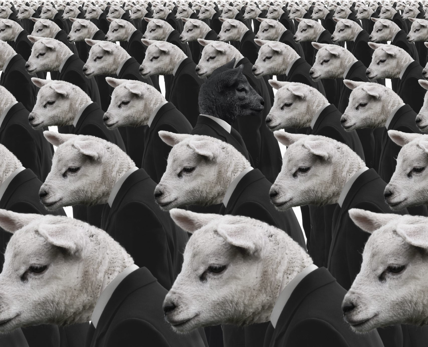 Black sheep amongst white sheep businessmen
