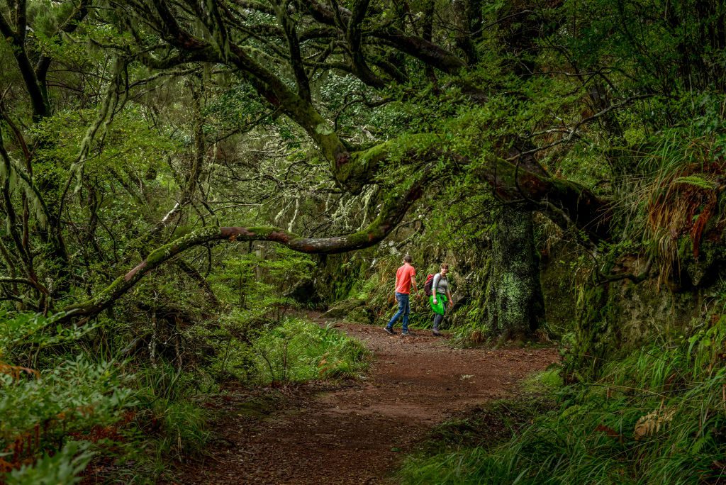 Hiking Trail