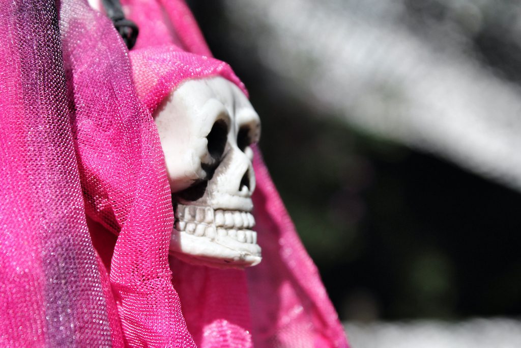 Close-Up Of Human Skull Amidst Fabric