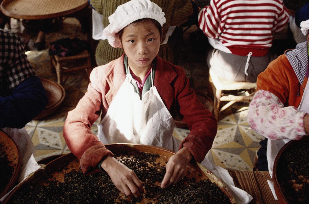 China, Fujian Province, Anxi City, girl working in tea factory