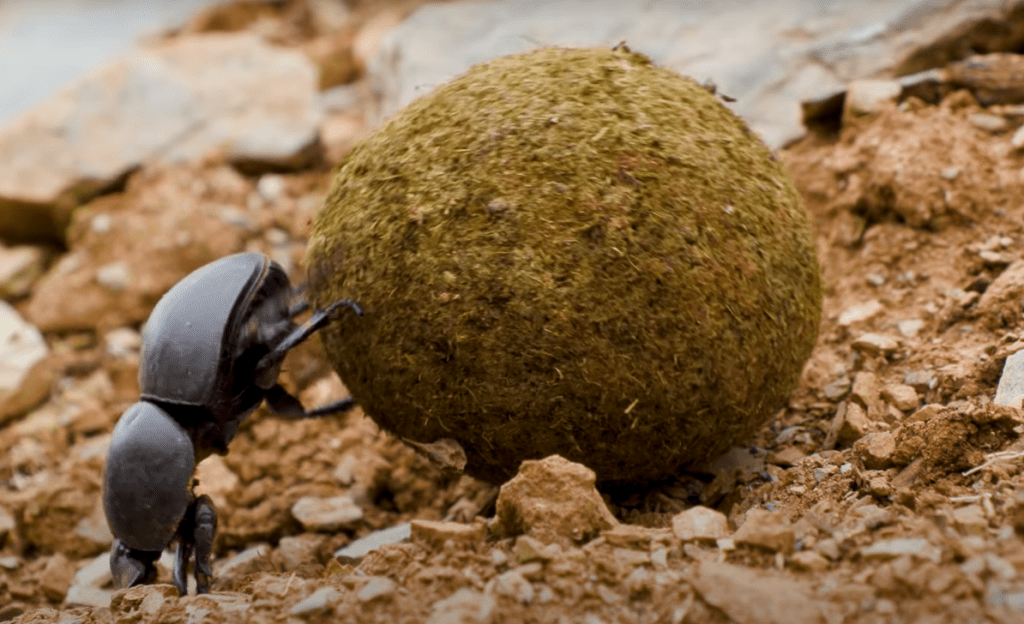 Screen Shot 2021-03-10 at 2.32.41 PM