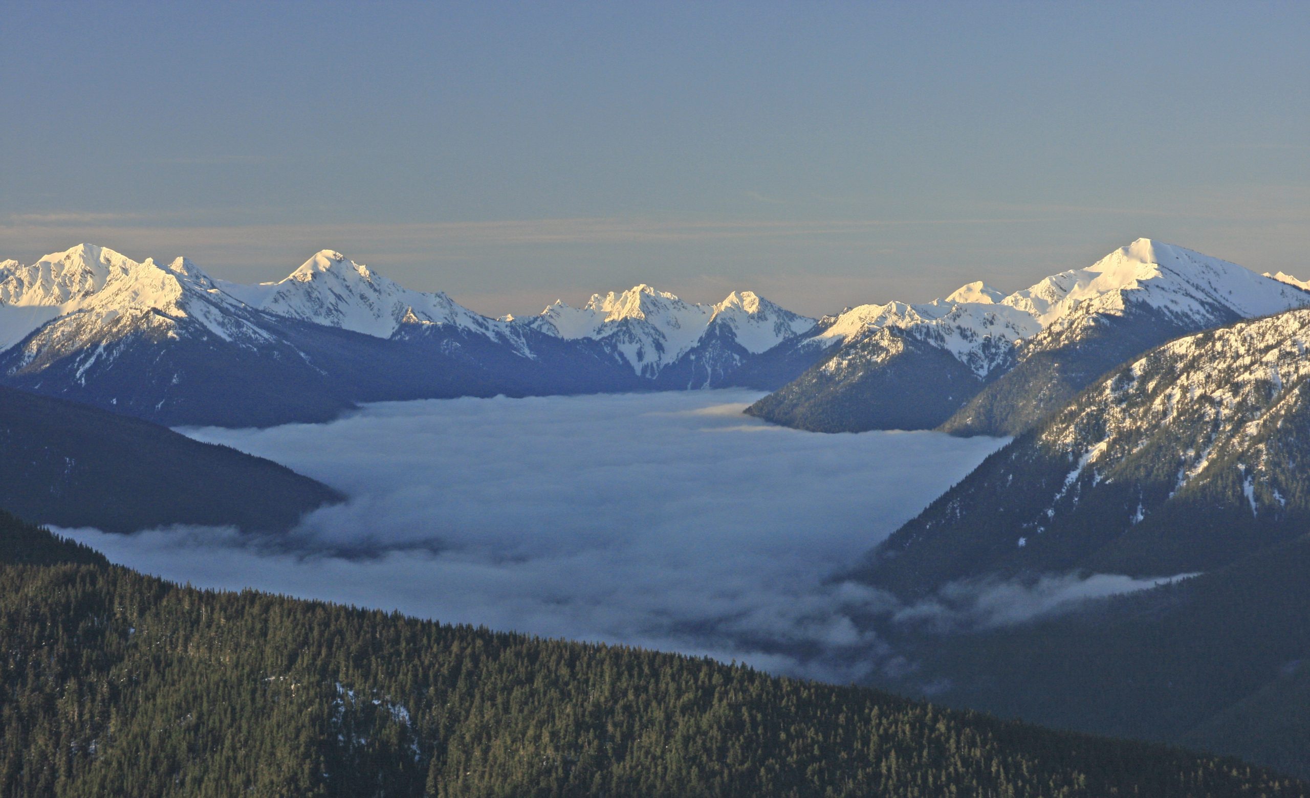 Olympic,Mountain,Range,,Olympic,National,Park,,Washington,,Usa