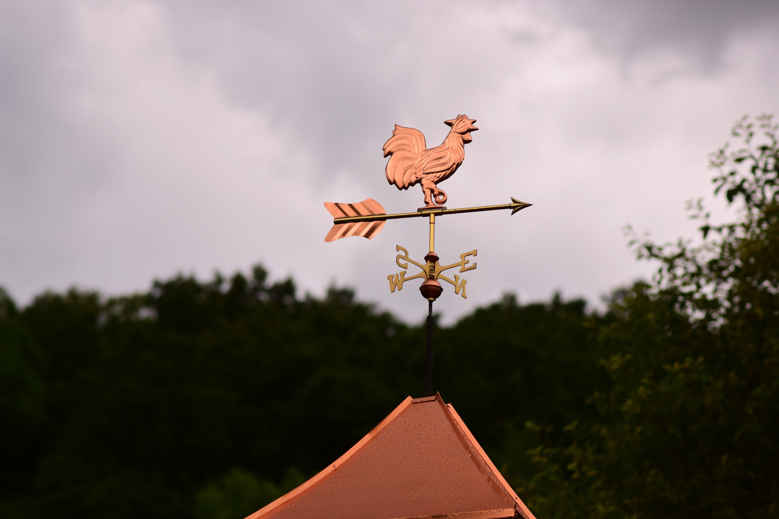 Bronze,Weathervane,Against,A,Cloudy,Sky