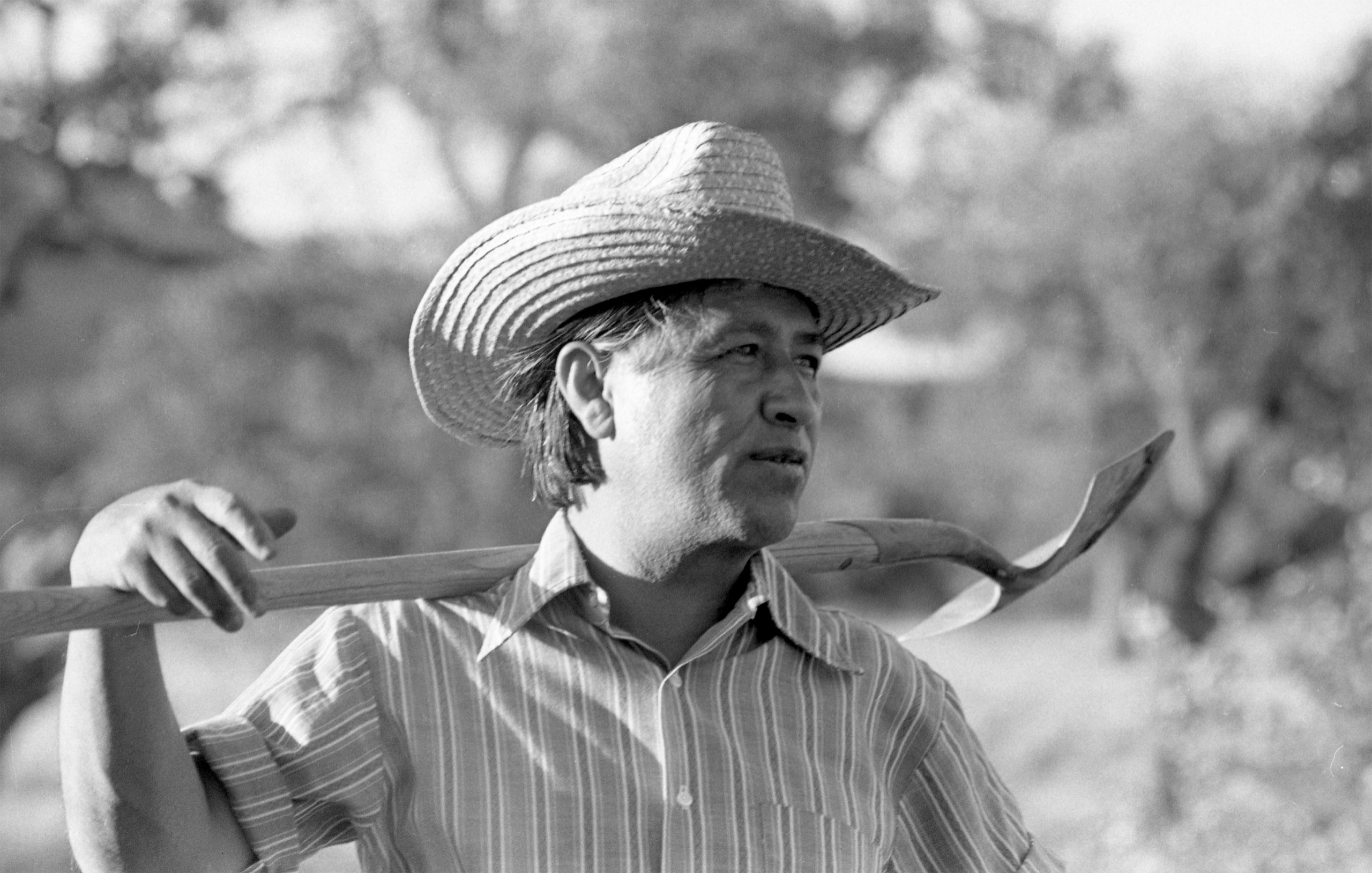 Cesar Chavez In Community Garden