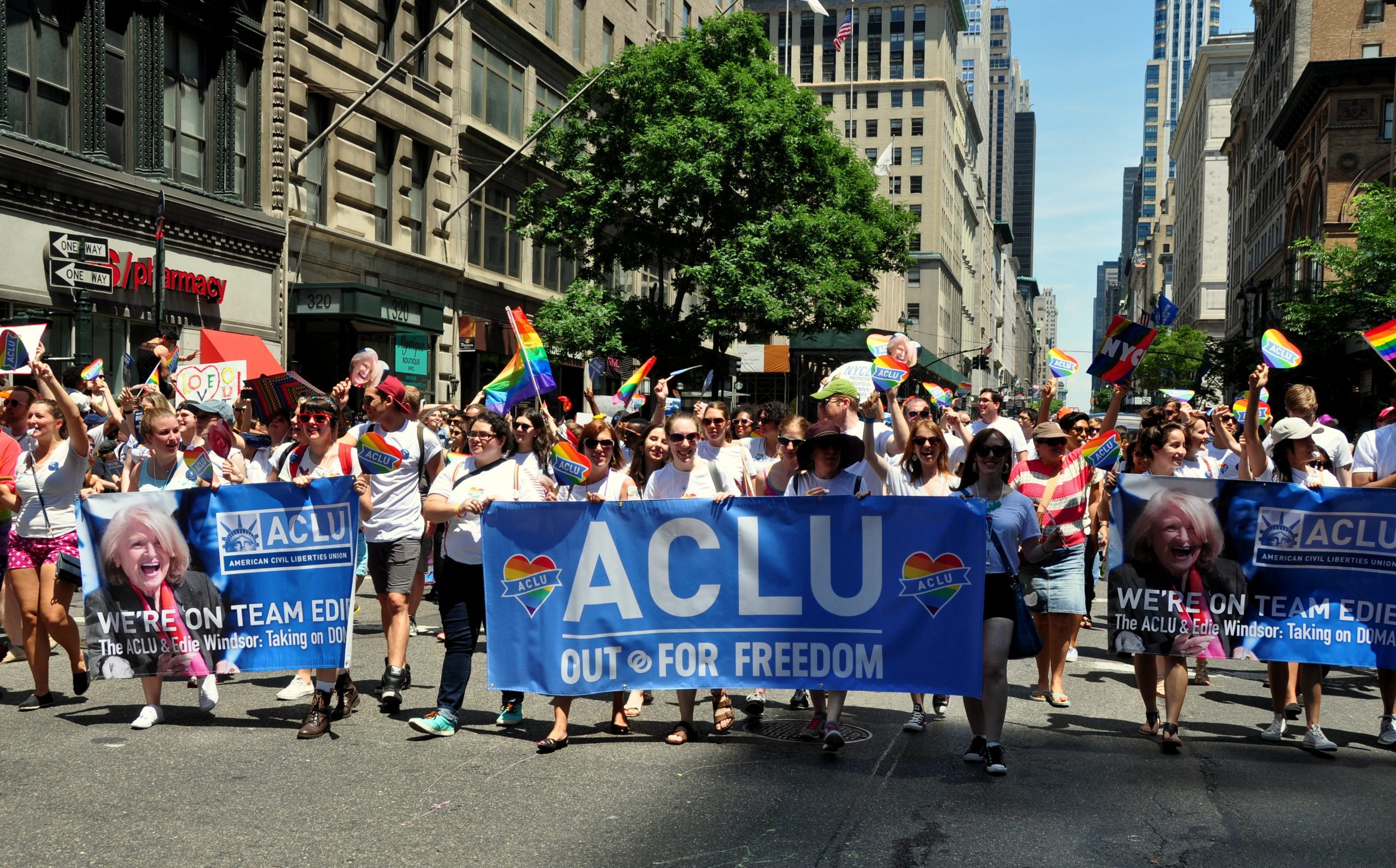 Nyc,-,June,29,,2014:,Aclu,Contingent,Marching,In,The