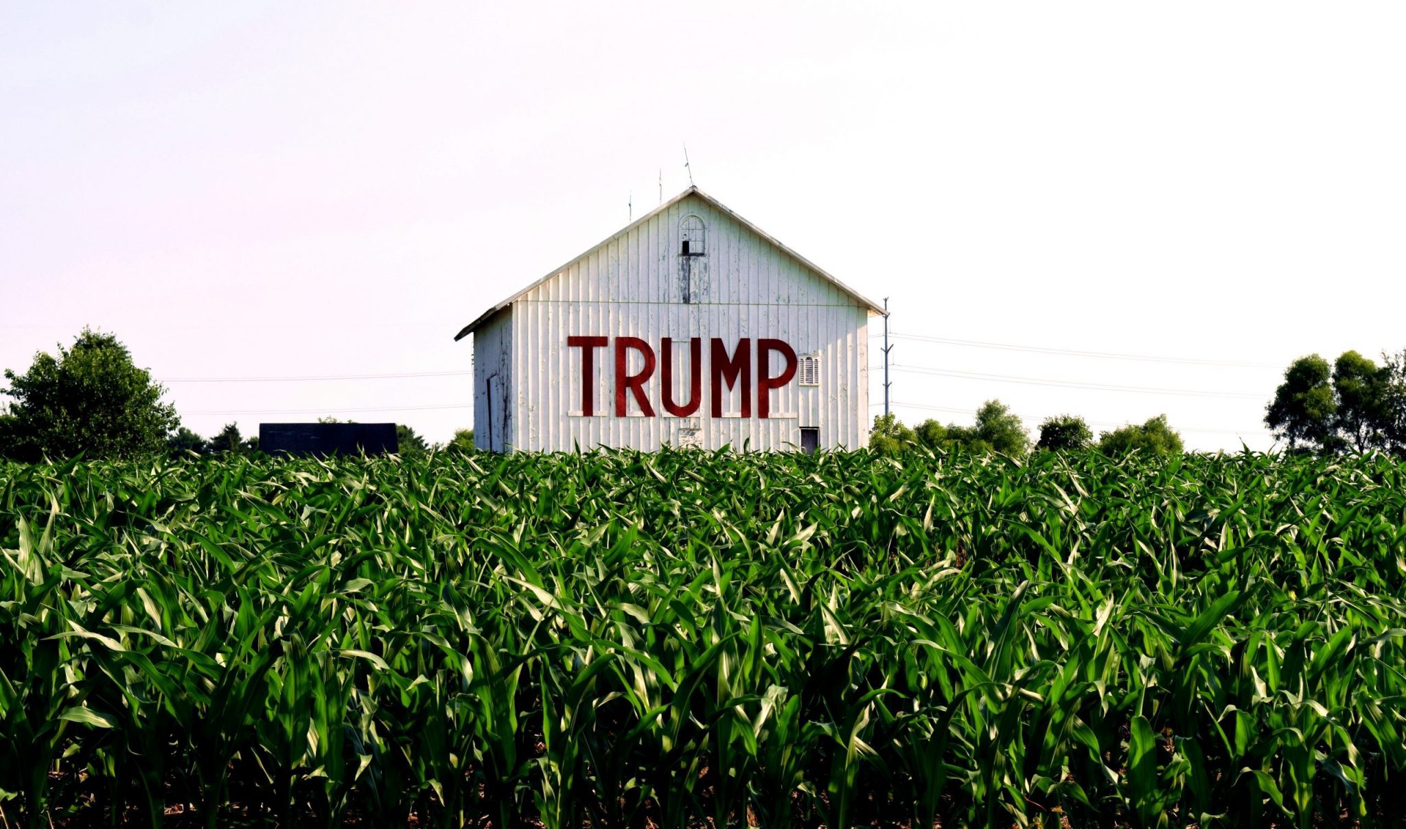 Near,Somerset,Ohio,,Circa,June,2016:,Trump,On,The,Side