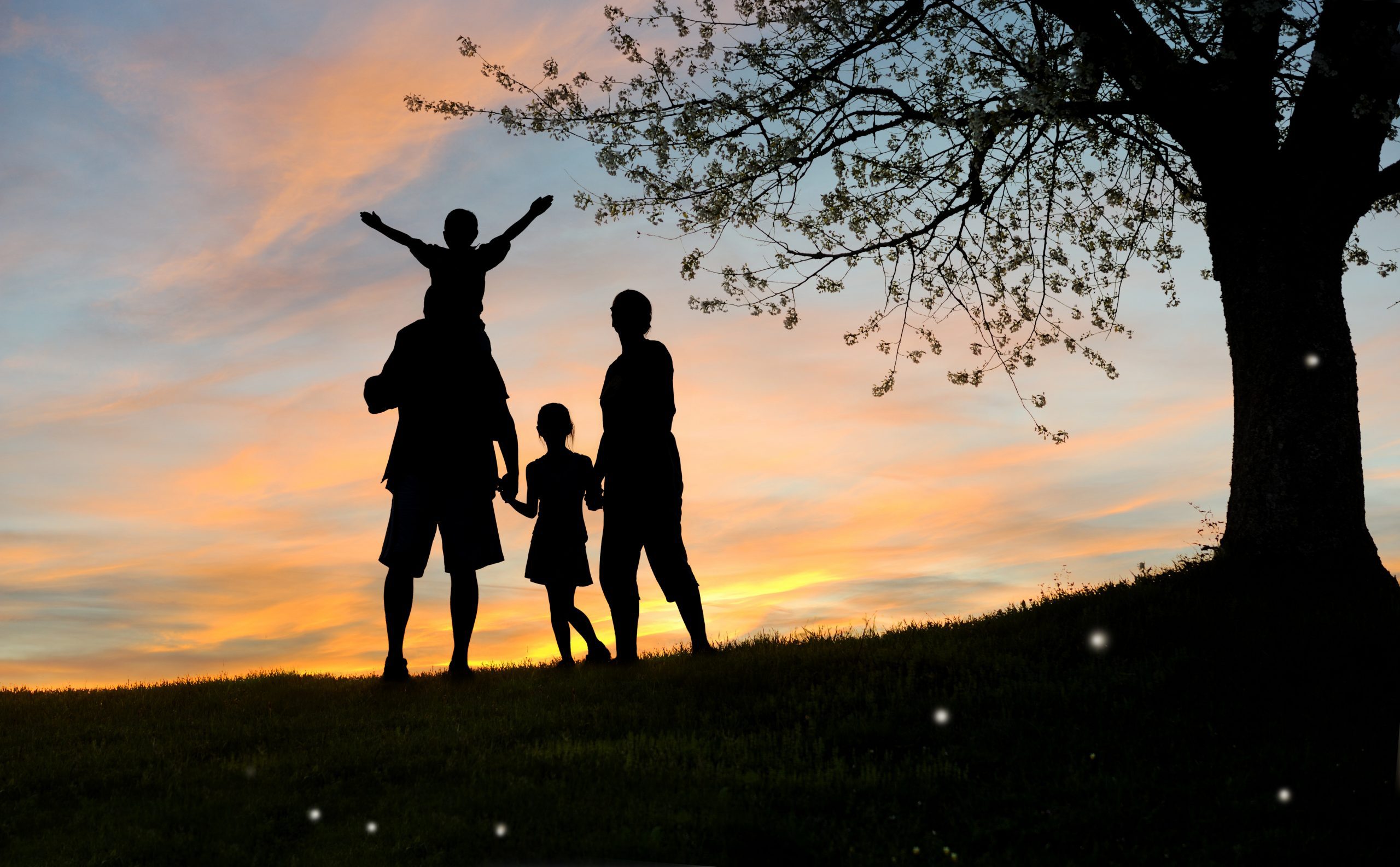 Happy,Family,,Father,,Mother,,Son,And,Daughter,In,Nature,,Sunset