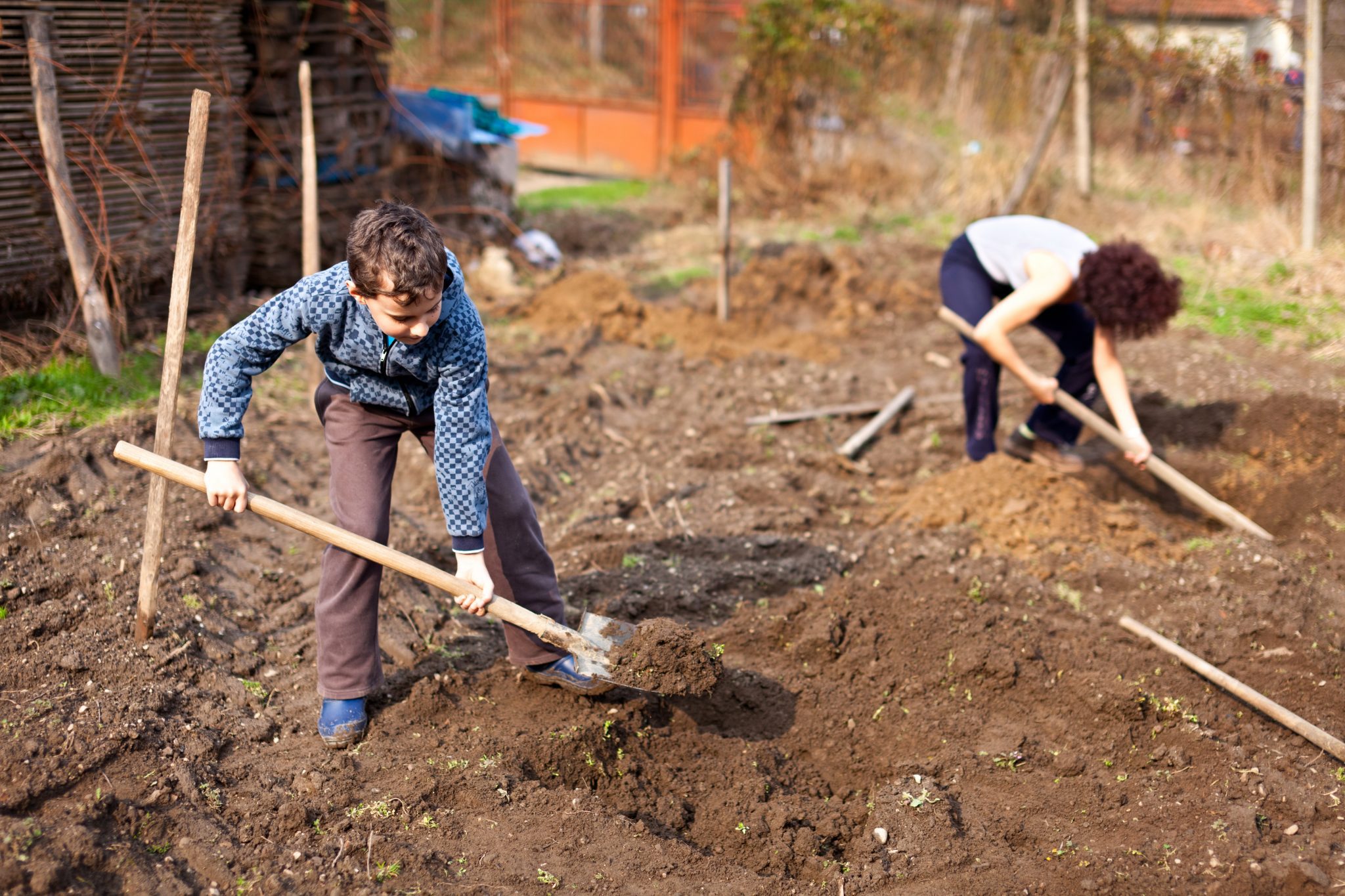 Mother,And,Son,Digging,Into,The,Garden,For,Planting,Trees