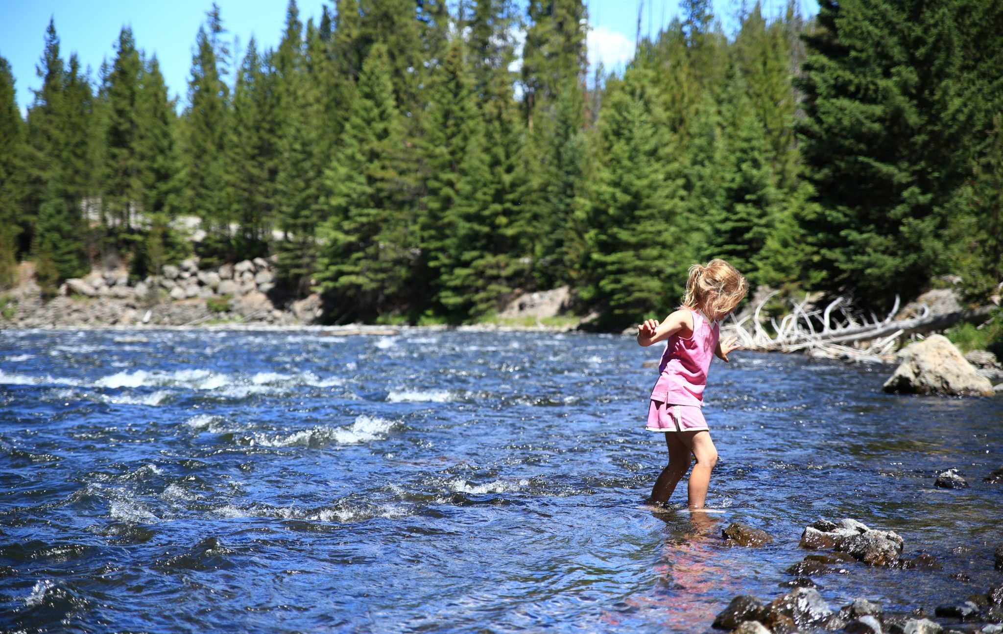 Yellowstone,National,Park,,Wyoming,,Usa-,July,,2016:,A,Young,Girl