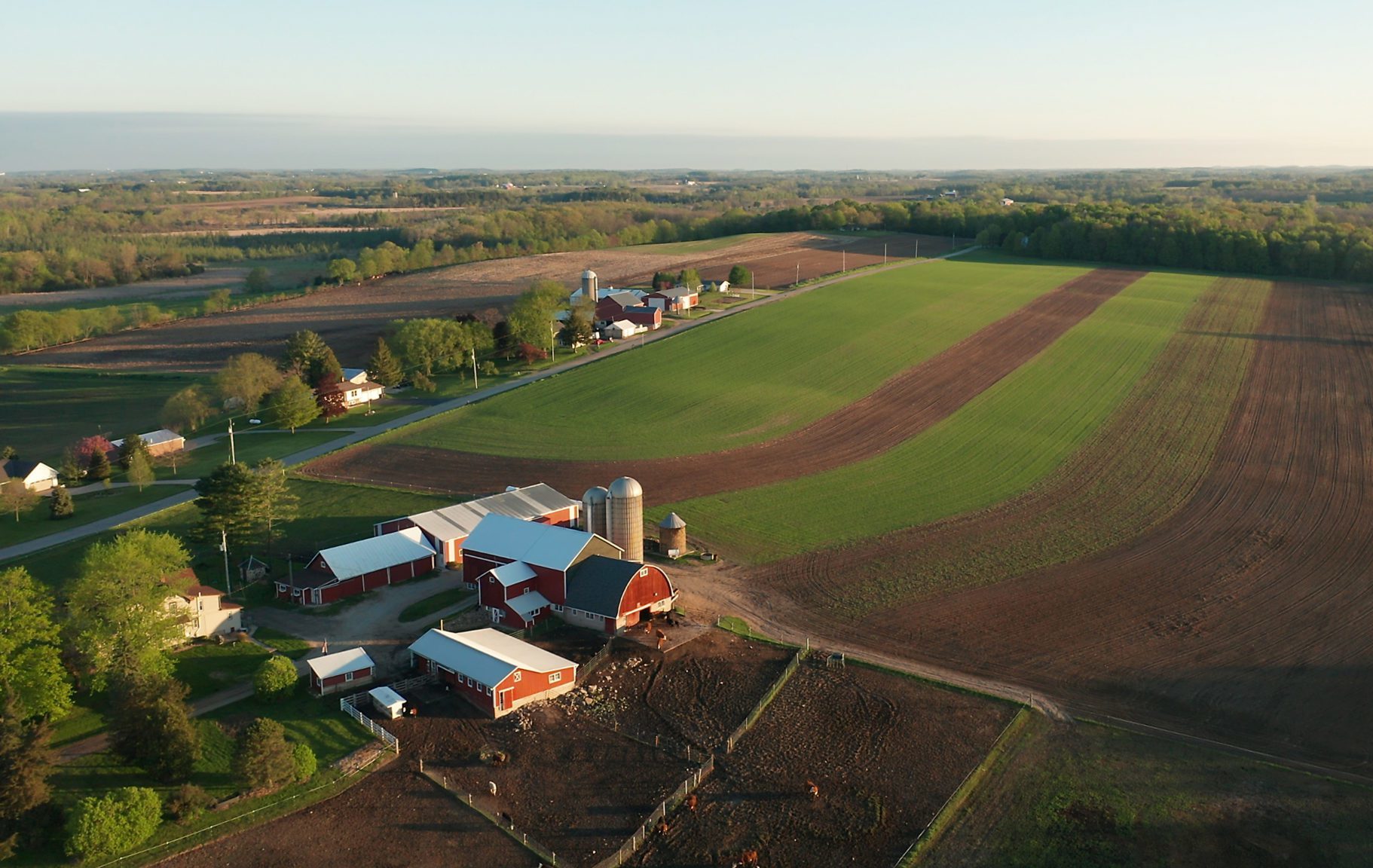 Aerial,View,Of,American,Countryside,Landscape.,Farm,,Red,Barn,,Cows.