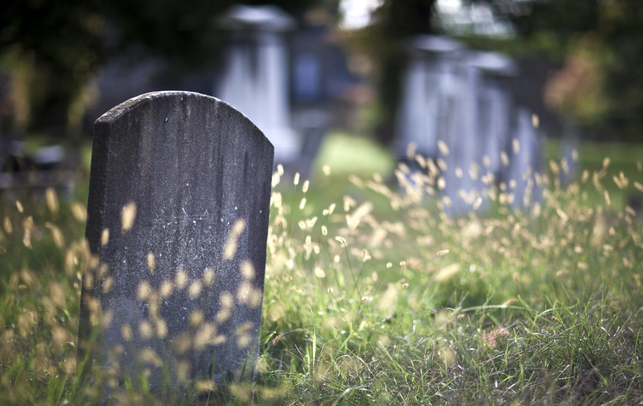 Tombstone,And,Graves,In,An,Ancient,Church,Graveyard