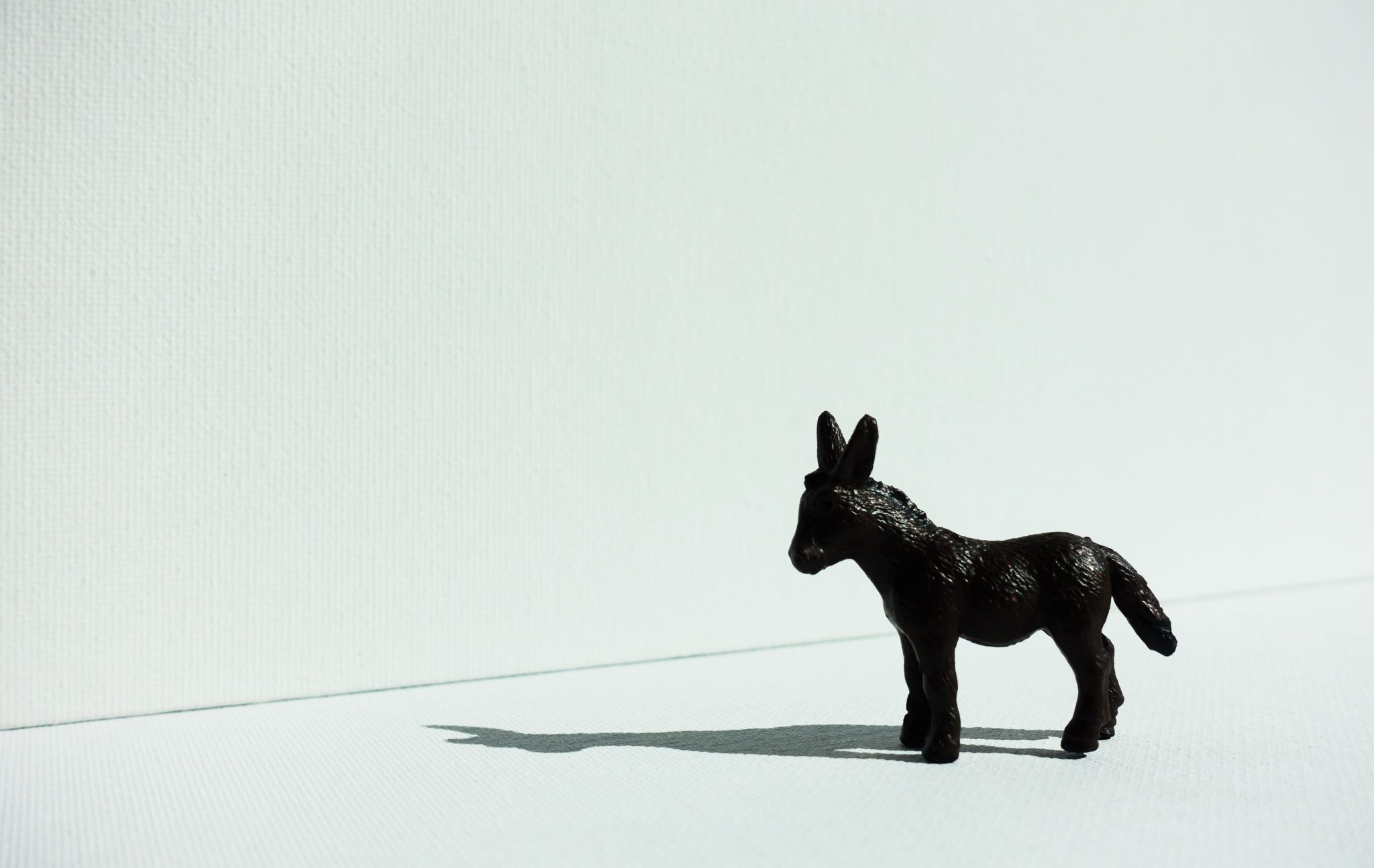 Isolated,Plastic,Donkey