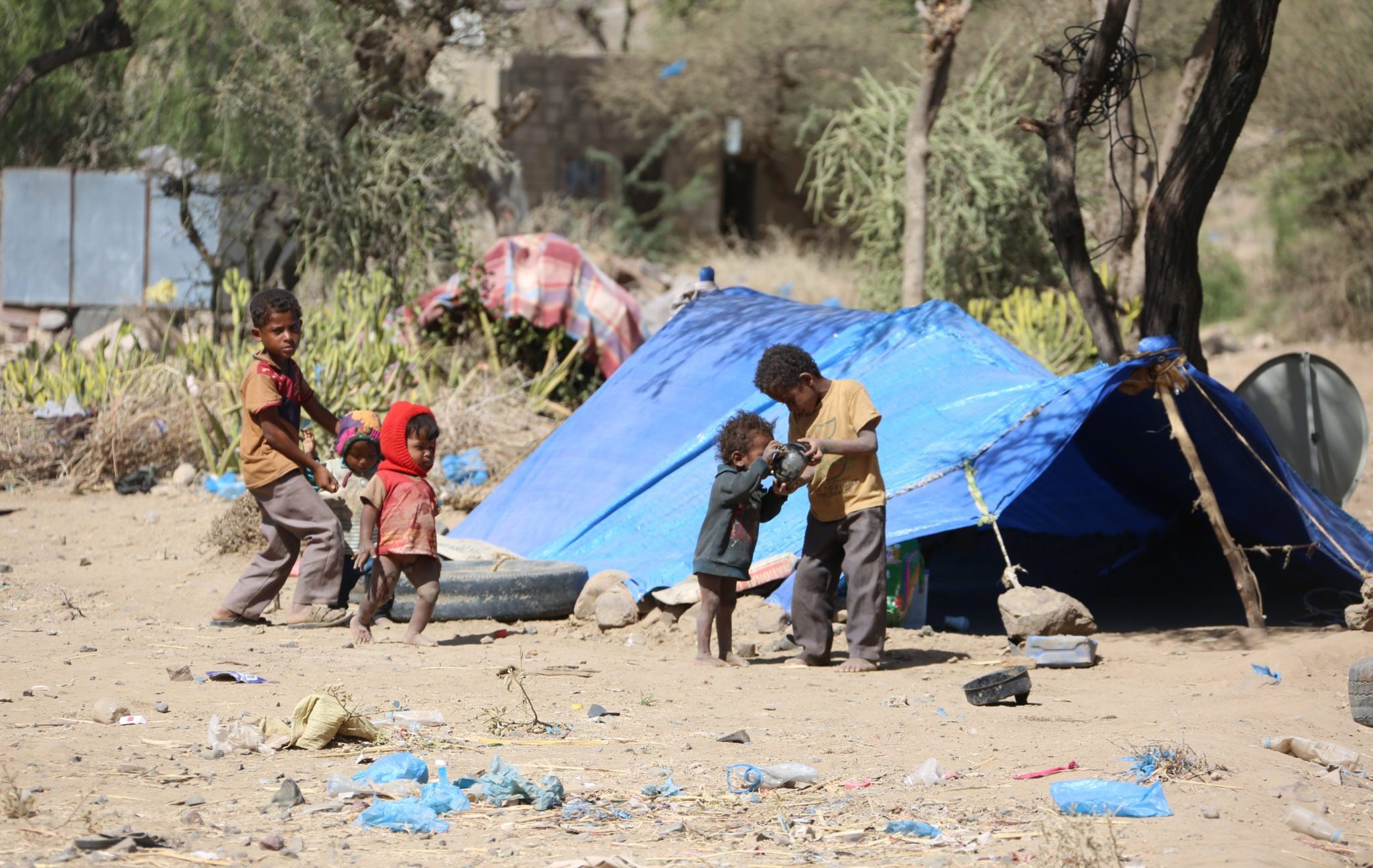 Taiz,Yemen,-,09,Feb,2017,:,A,Yemeni,Child
