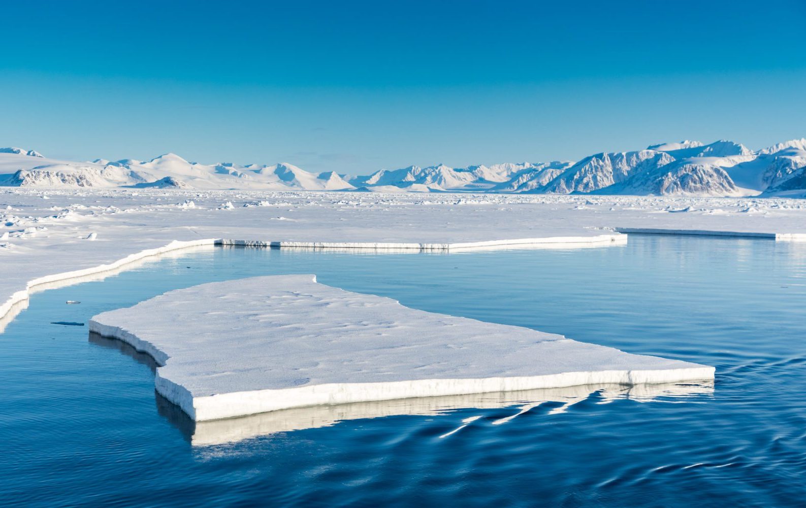 Arctic,Summer,Landscapes,In,Svalbard.