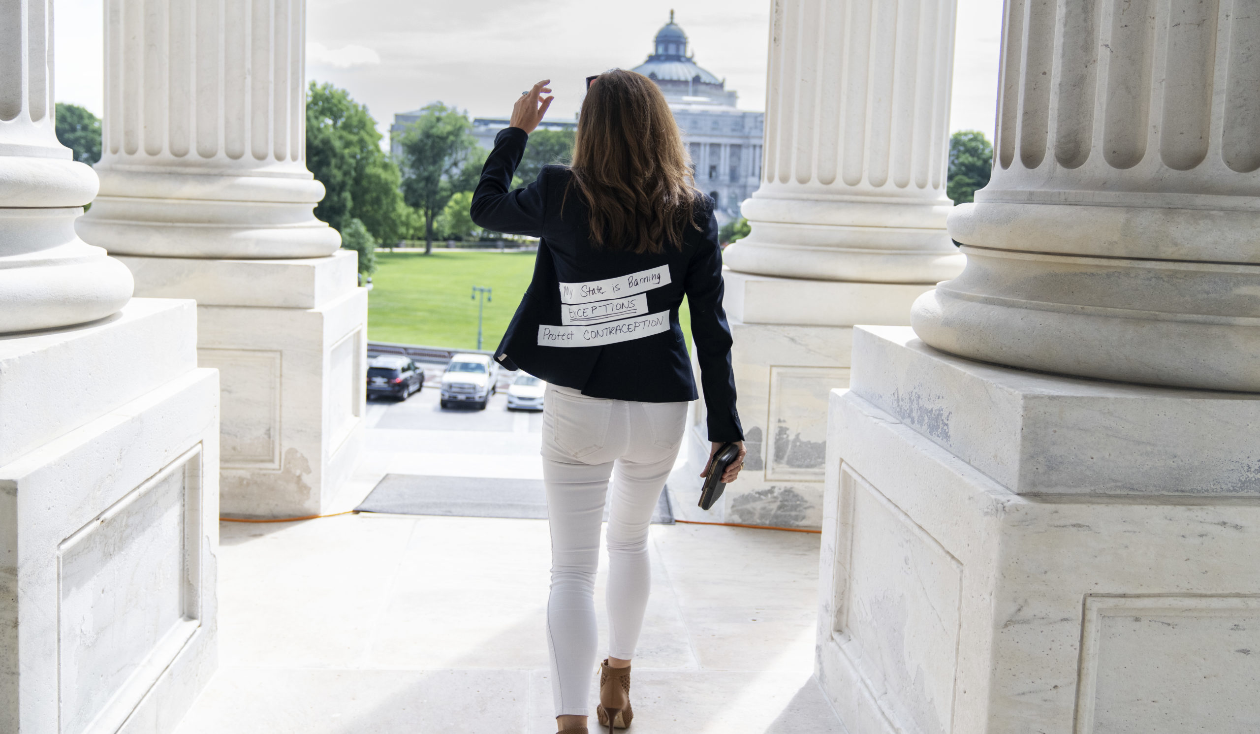 Uncontrolled Opposition - The American Conservative