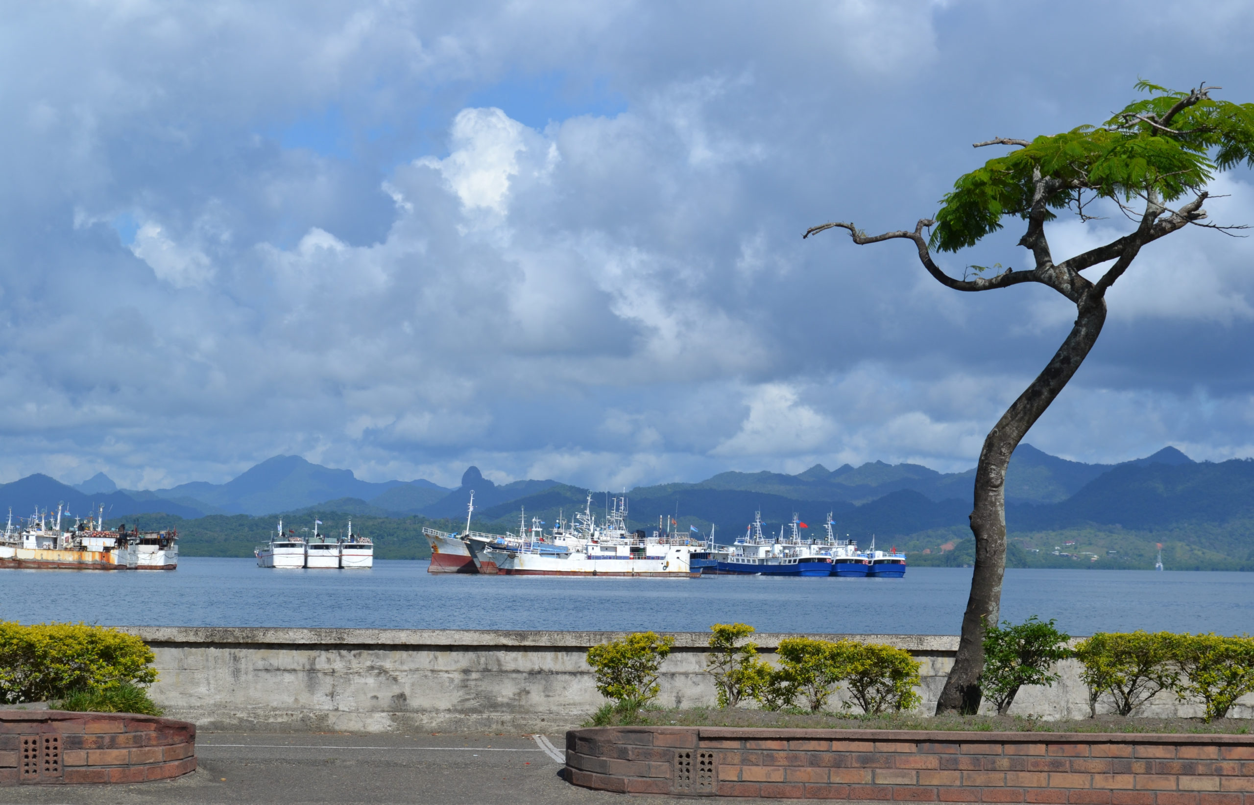 Fishing,Fleet,At,Anchor,,Suva,Harbour,,Fiji,Islands,Under,A