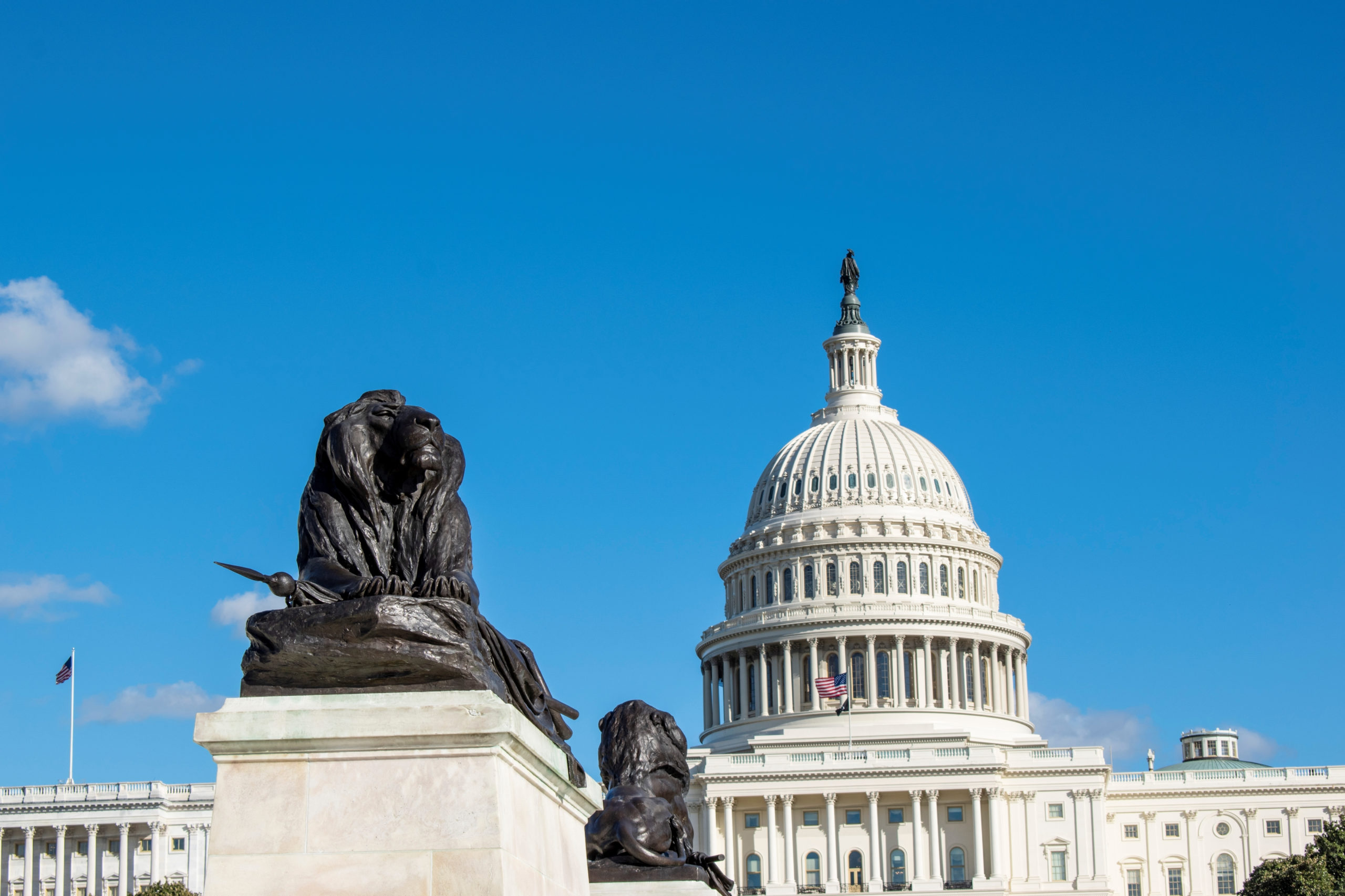 Beautiful,Lion,Statue,In,Front,Of,The,United,States,Capitol