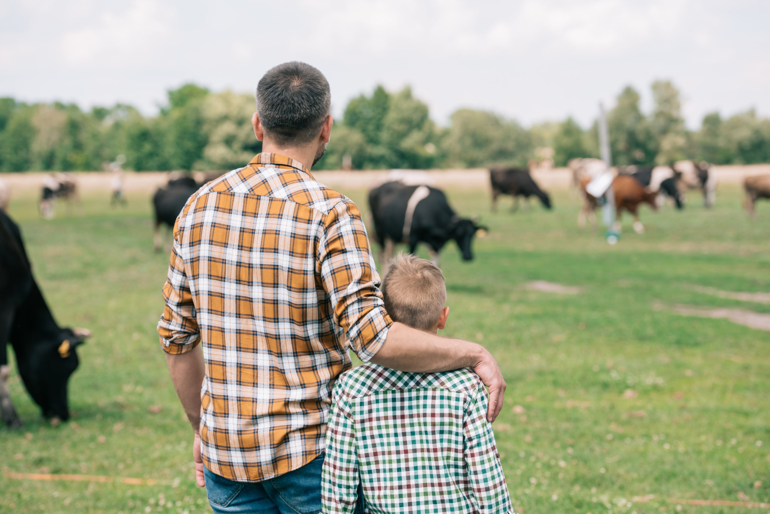 Back,View,Of,Father,And,Son,Standing,Together,And,Looking